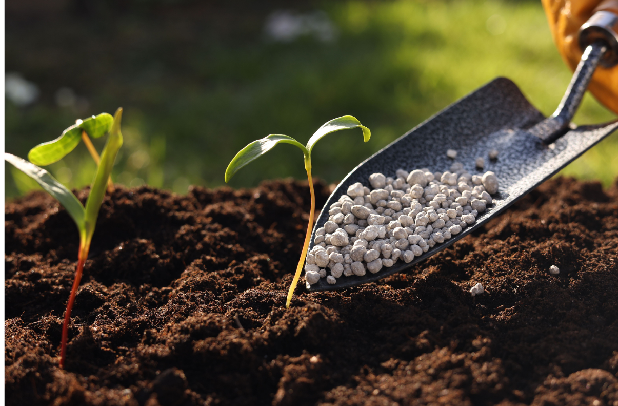 Polyserve trading - Fertilizer exports egypt